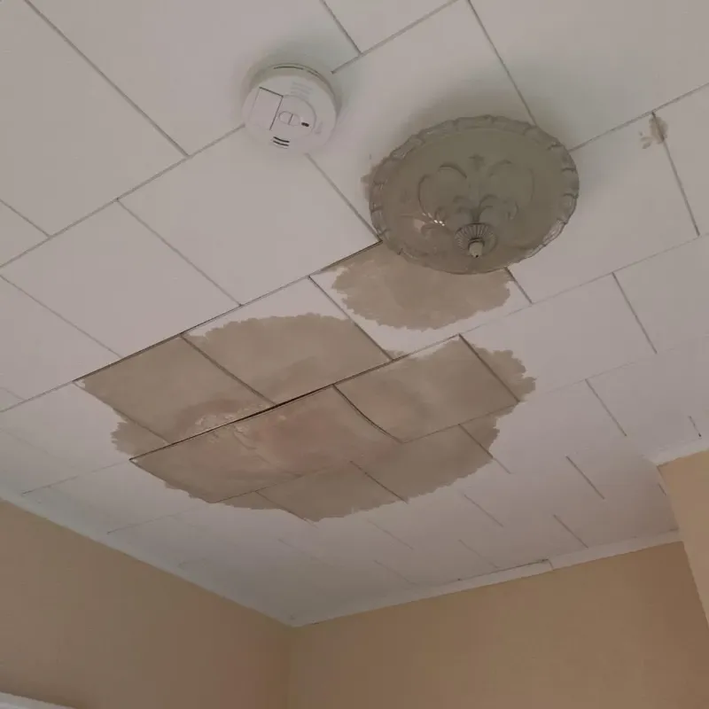 Ceiling Water Damage Repair in Hillsboro, WI
