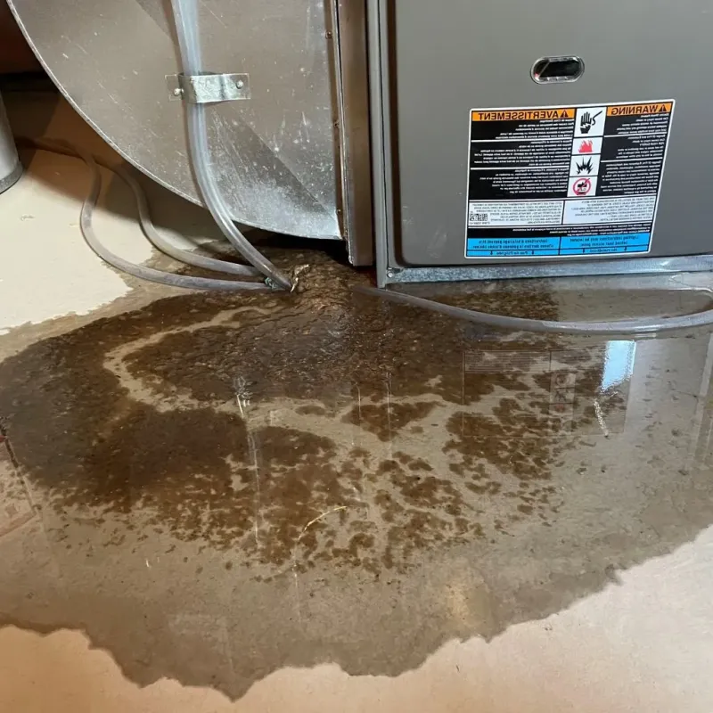 Pipe Burst and Leak Restoration in Hillsboro, WI