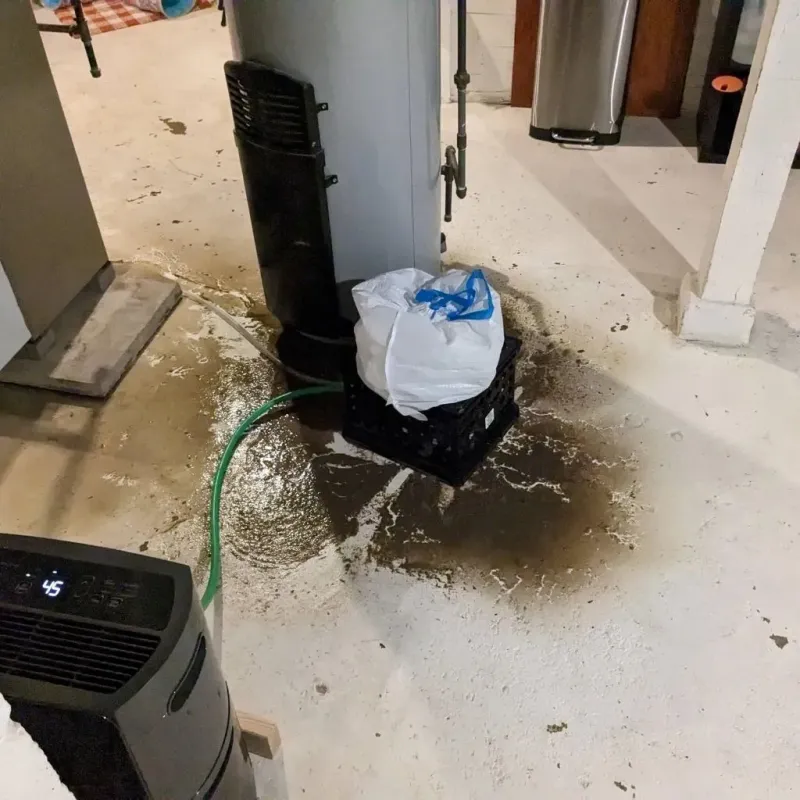 Sewage Backup Cleanup Service in Hillsboro, WI